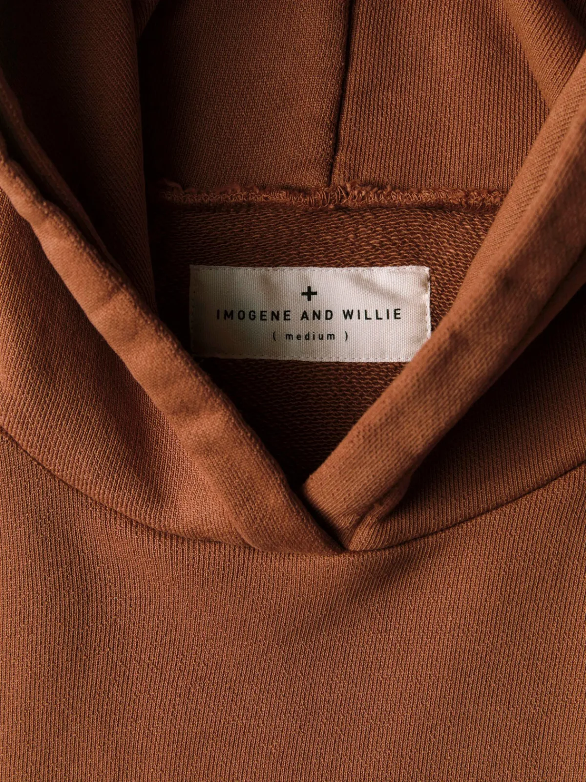 Imogene + Willie davenport hoodie in brown