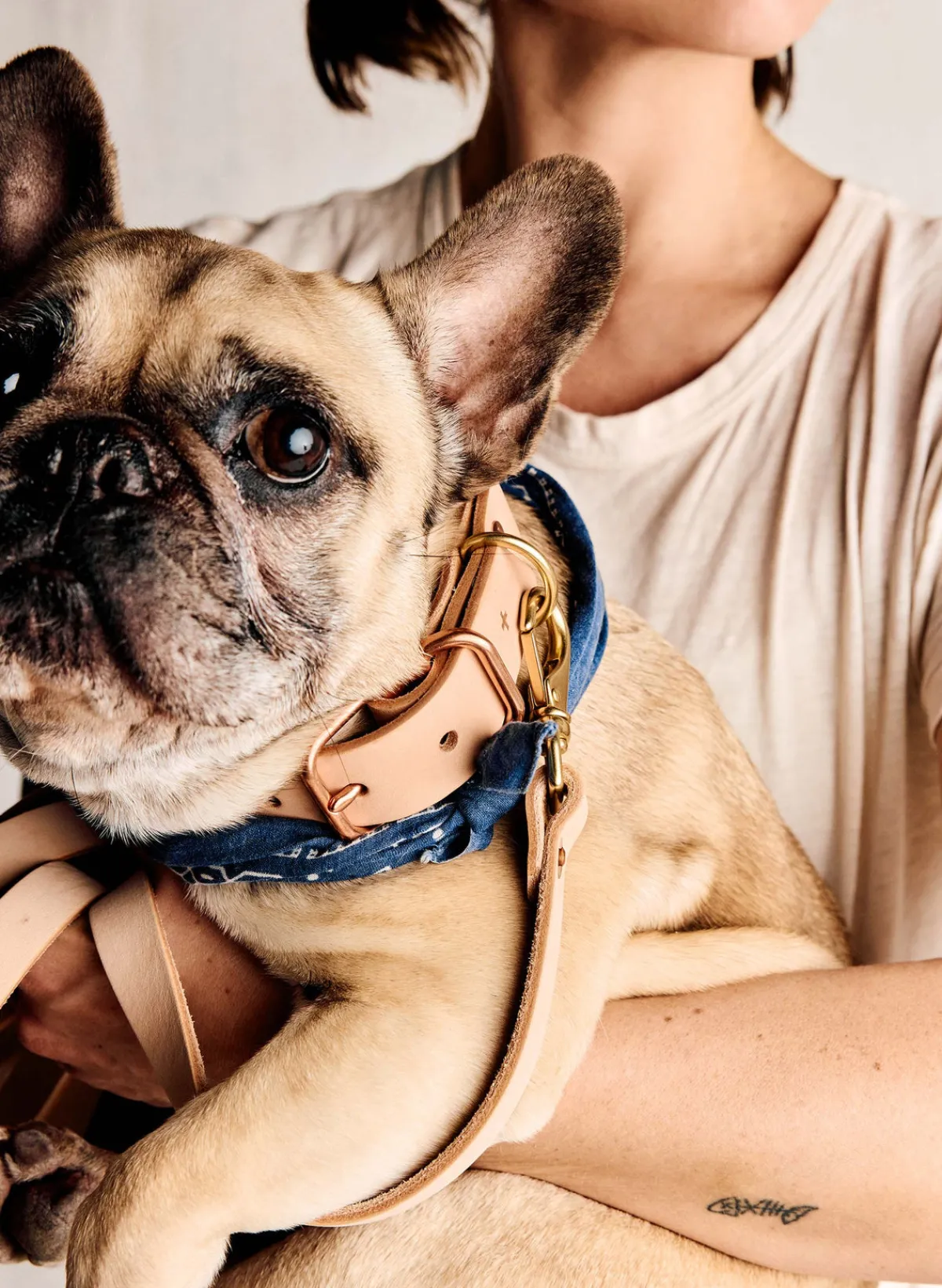 Women Imogene + Willie emil erwin x i+w dog leash