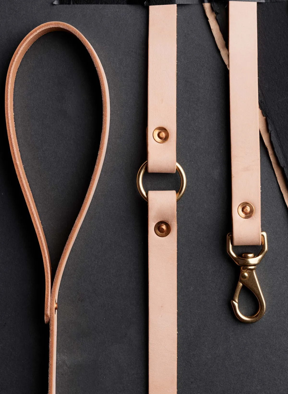 Women Imogene + Willie emil erwin x i+w dog leash