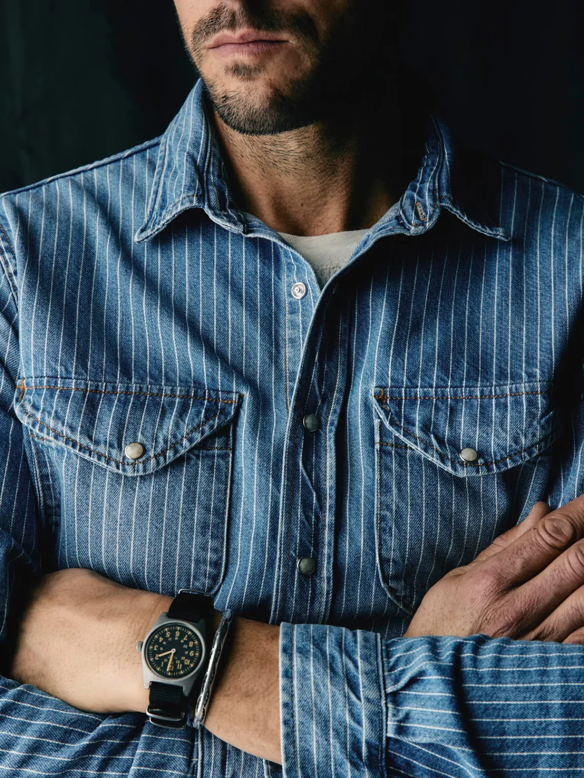 Imogene + Willie hayes indigo stripe pearl snap