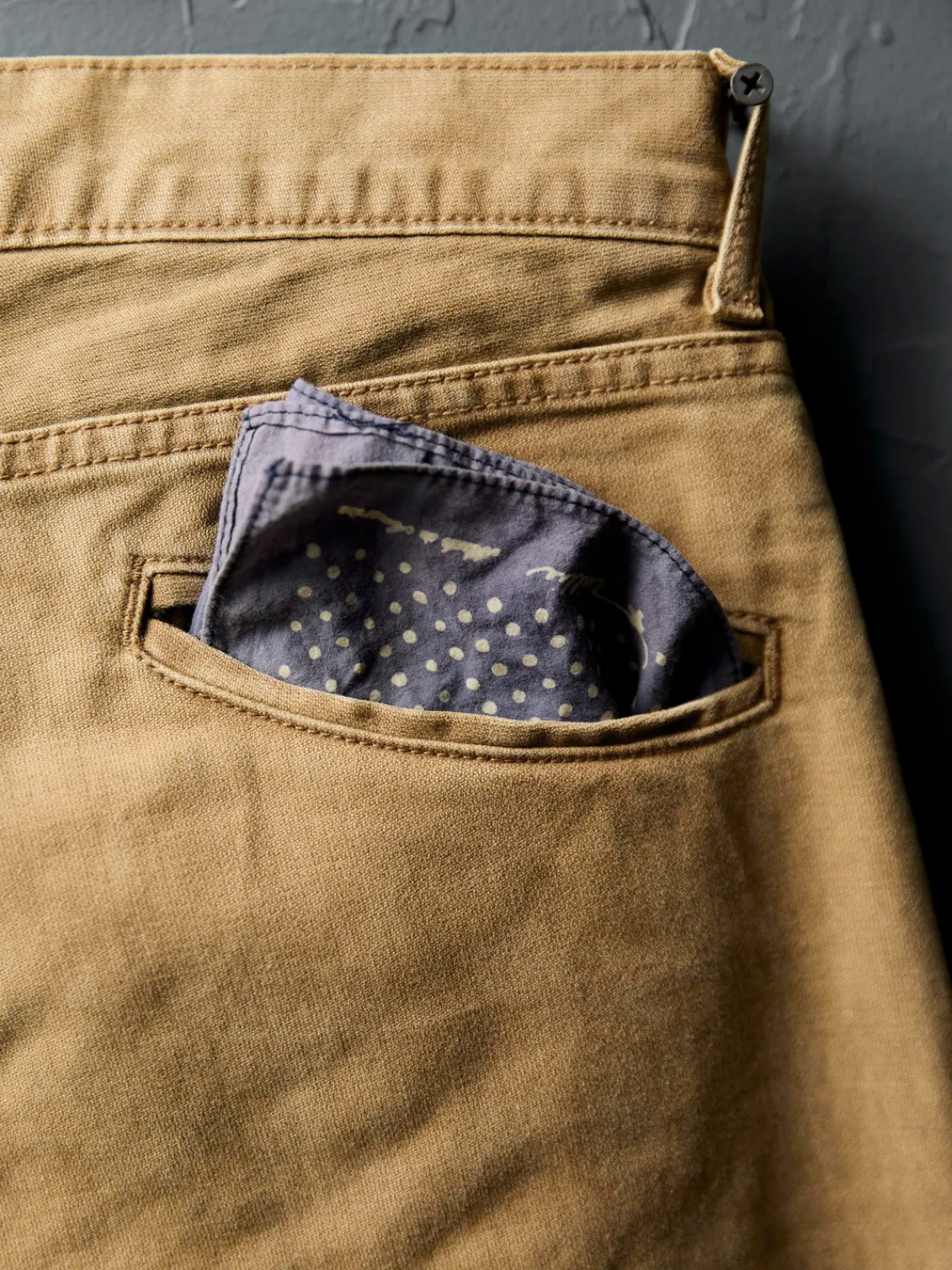 Imogene + Willie oscar washed brown broken twill