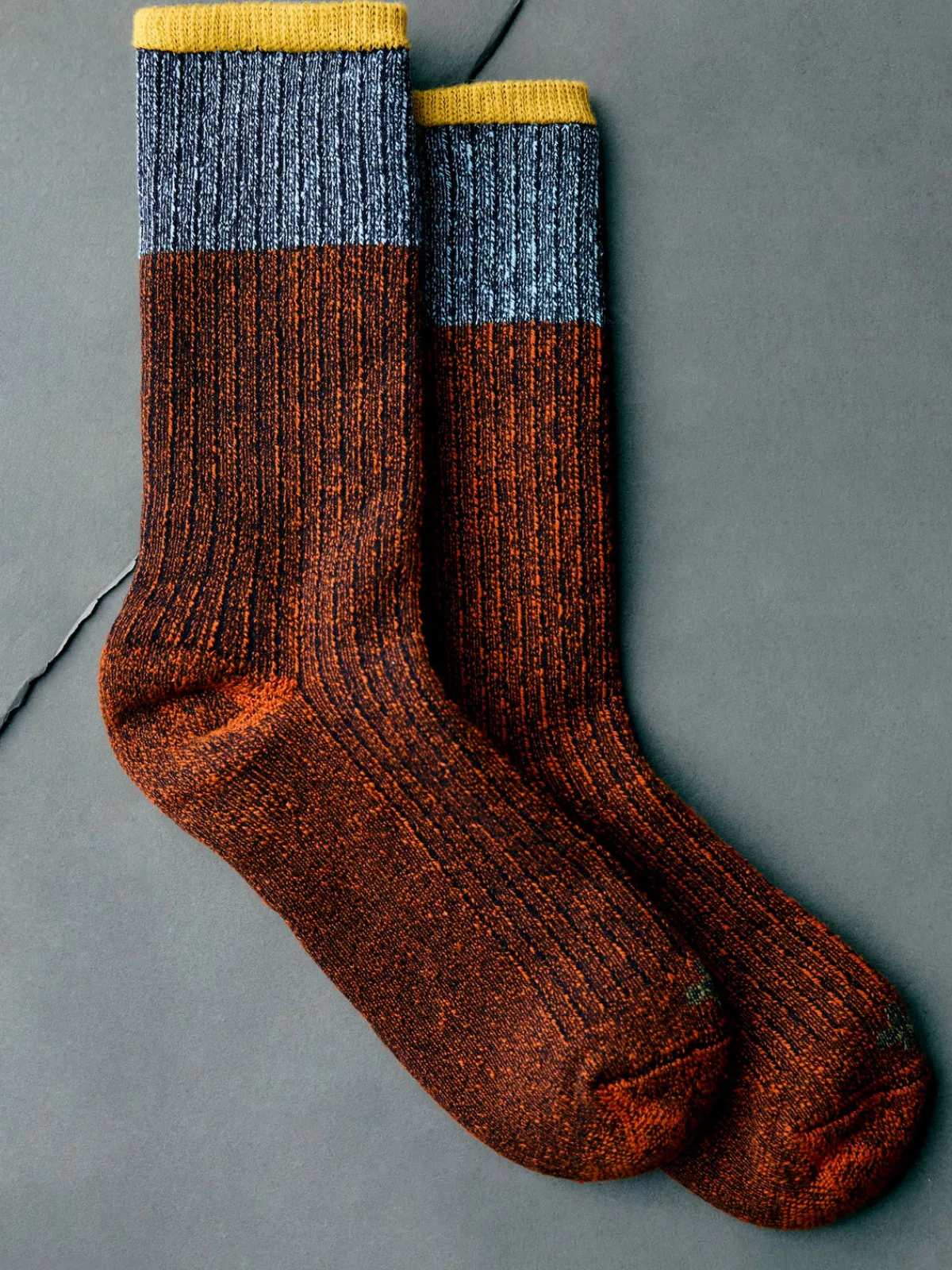 Women Imogene + Willie ribbed boot sock in sunset