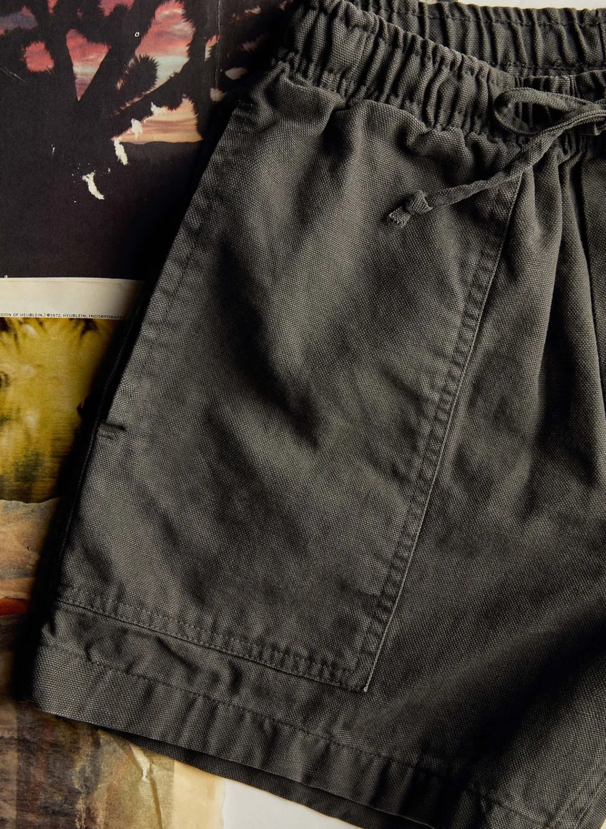 Imogene + Willie the canvas lounge short in faded black