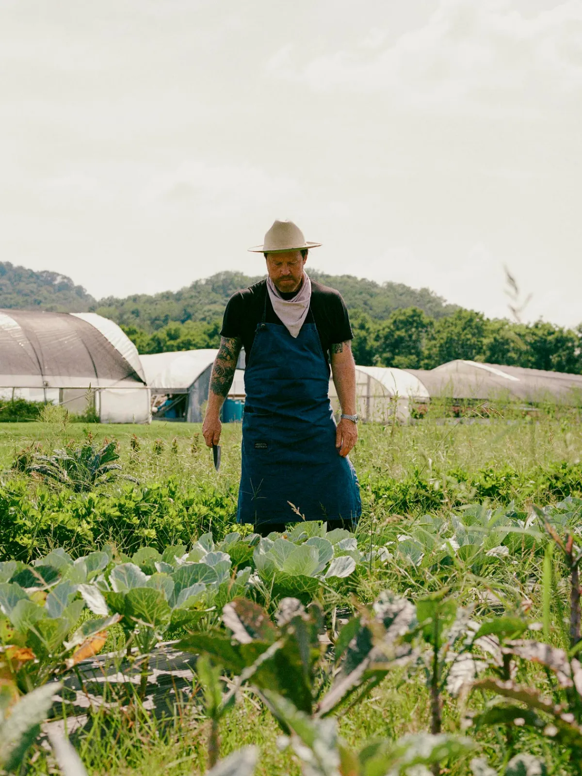Women Imogene + Willie the "cascabel" canvas apron