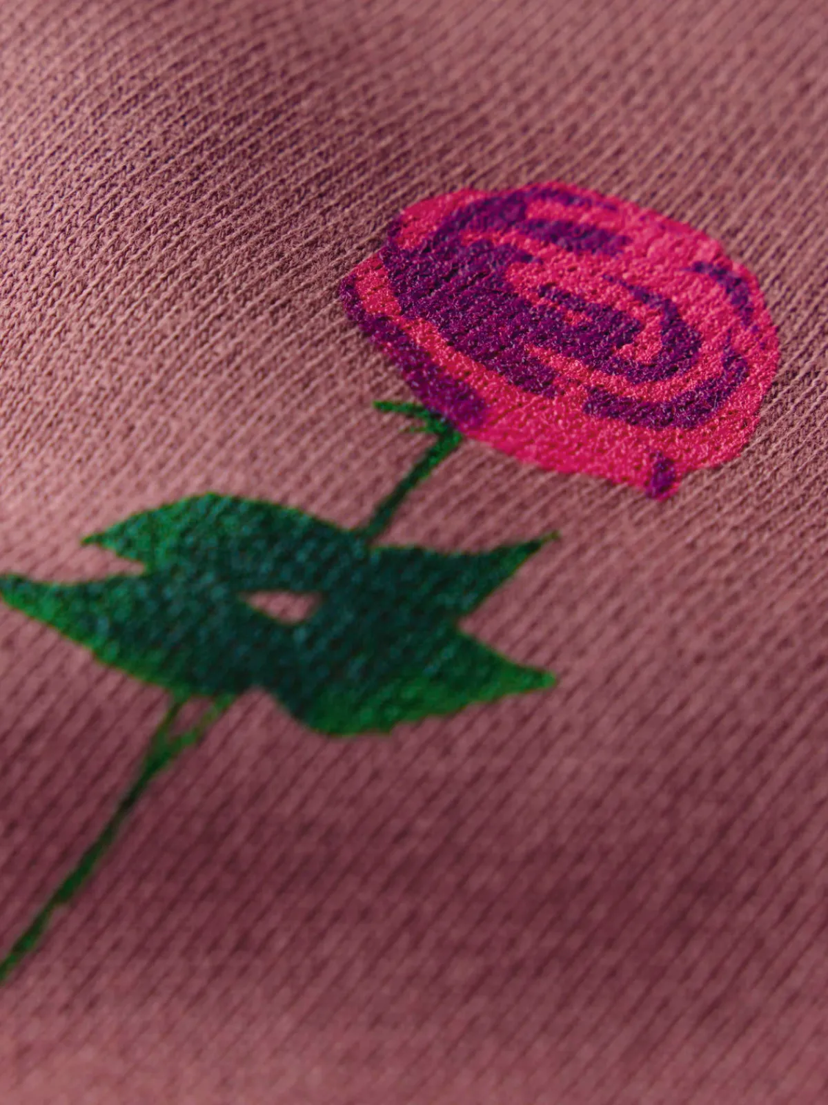 Women Imogene + Willie the "rose" penny sweatshirt