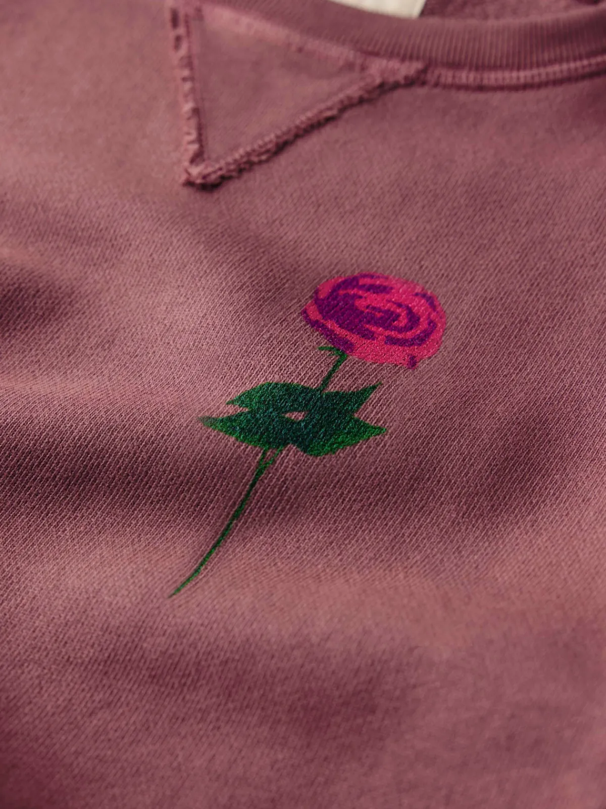 Women Imogene + Willie the "rose" penny sweatshirt