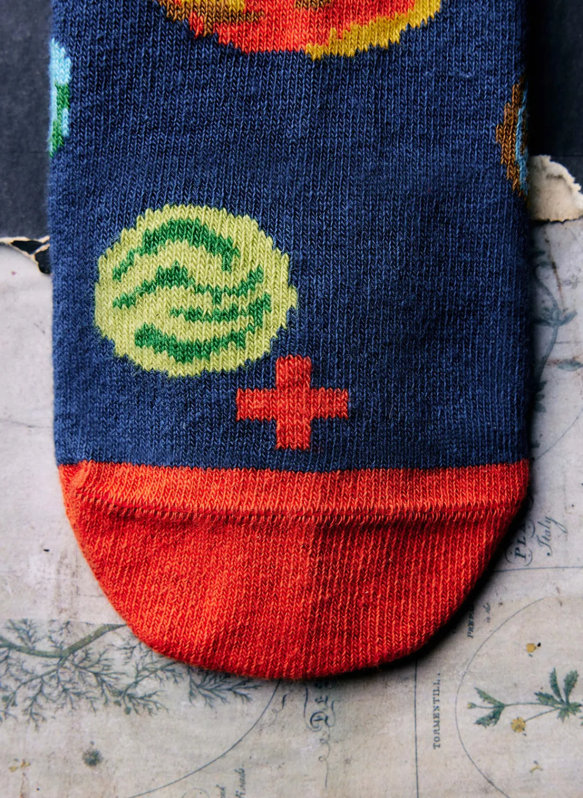 Imogene + Willie the "you are here" sock